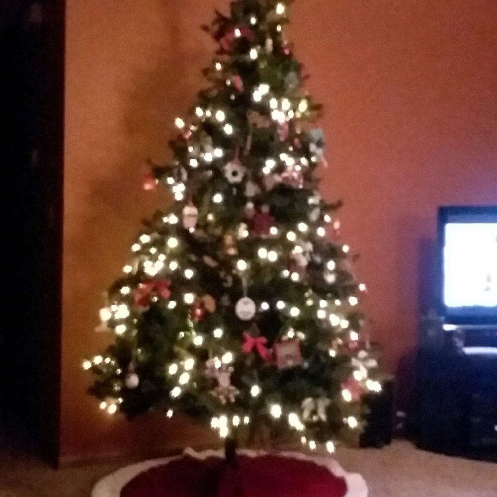 Meet your Posher, Sue